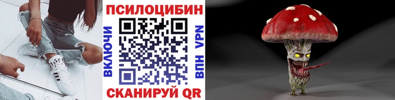 нарко площадка телеграм  кракен сайт  Болгар  купить закладку  Псилоцибиновые грибы Psilocybine cubensis 